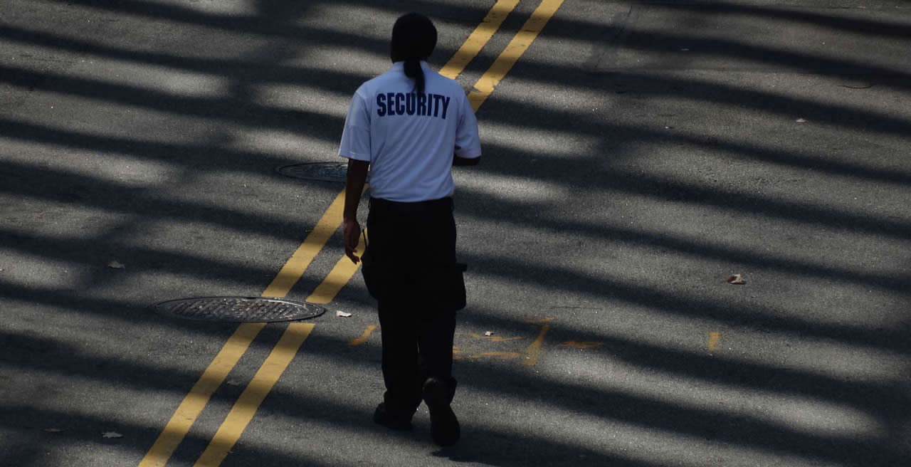 VIGILANTE DE SEGURIDAD